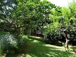 Hotel Villa Noelia 4*